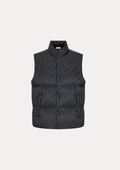 CD - VEST